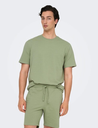 ONLY & SONS Onskian Life Reg Seersucker Ss Tee Noos   Green   L