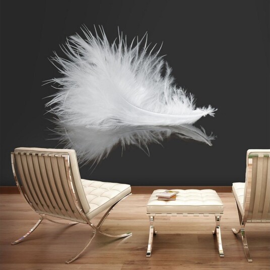 Fototapet White Feather 300x231 - Artgeist sp. z o. o.