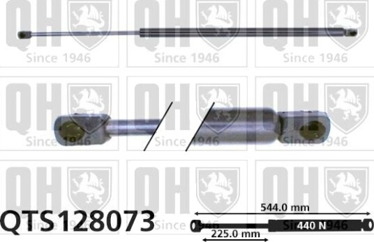 QUINTON HAZELL QTS128073 Baklukedemper