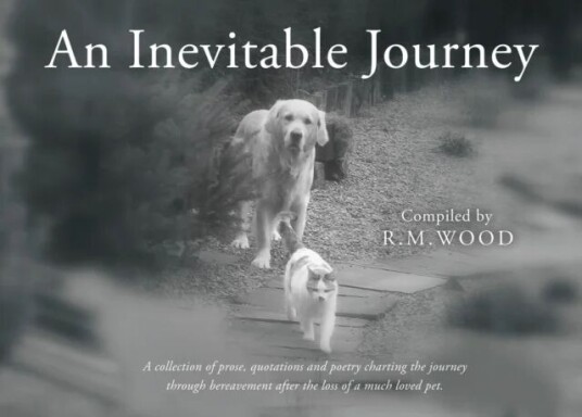 An Inevitable Journey Av R.M. Wood