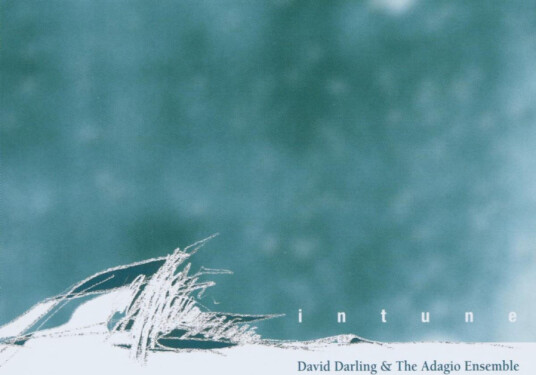 David Darling & Adagio Ensemble Intune CD