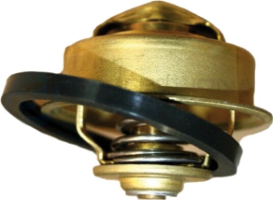 Termostat Professional Parts 26433307