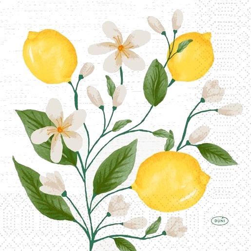 Duni Lemon Fiesta Hvit Papir Bilde 330 Mm 330 Mm 250 Stykker