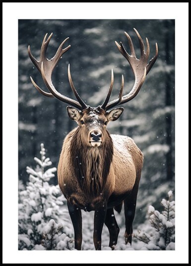 Stag In Forest Plakat Plakat / 21x30cm
