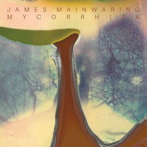 MediaTronixs James Mainwaring : Mycorrhiza CD (2021) Pre-Owned