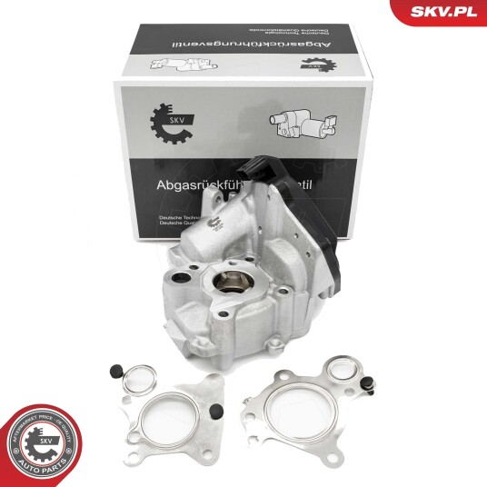 EGR Ventil ESEN SKV 14SKV259