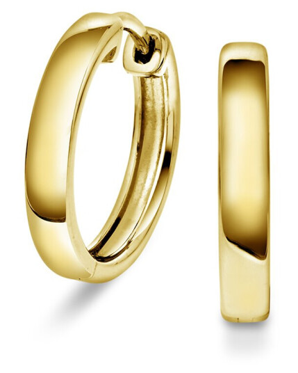 Pan Jewelry Øreringer i 925 forgylt sølv