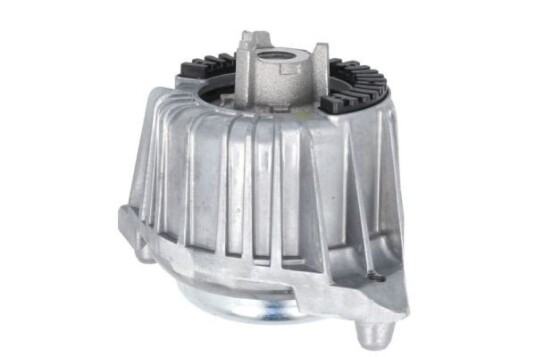 Motorfeste REINHOCH RH11-3118
