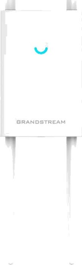Grandstream GWN7664LR Wi-Fi 6 Utendørs Access Point