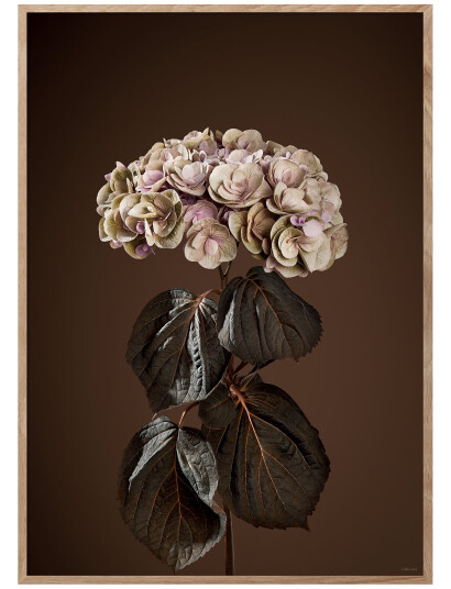 ChiCura Majestically Brown - Multi/patterned - 50X70CM ChiCura Majestically Brown - Multi/patterned - 50X70CM
