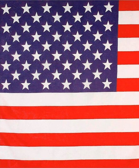 Widmann Usa Bandana