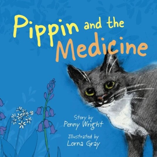 Pippin And The Medicine Av Penny Wright