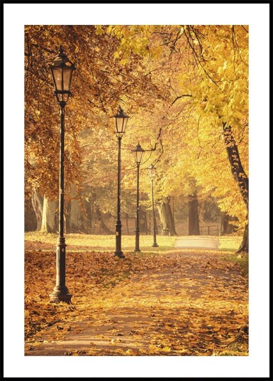 Golden Autumn Park Path Plakat Plakat / 100x150cm Golden Autumn Park Path Plakat Plakat / 100x150cm