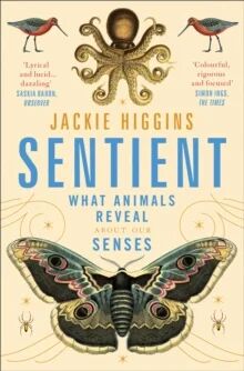 Sentient Av Jackie Higgins