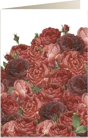 Tassotti Kort B6 + Konvolutt 7523 Rød Rose Tassotti Kort B6 + Konvolutt 7523 Rød Rose