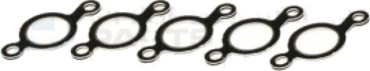 Tetning innsugningsmanifold Professional Parts 21437074