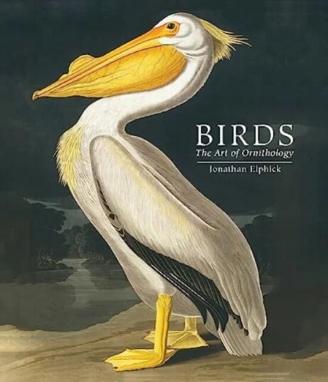 Birds Av Jonathan Elphick