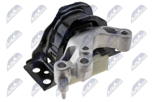 Motorfeste NTY ZPS NS 181