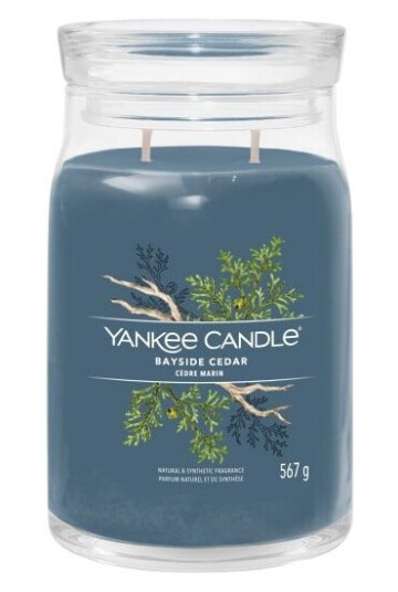 Other Brand Yankee Candle Bayside Cedar, Cylinder, Blå, Friskt, 1 stykker
