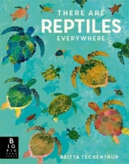 There Are Reptiles Everywhere Av Camilla De La Bedoyere There Are Reptiles Everywhere Av Camilla De La Bedoyere