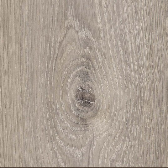 Laminatgulv - Parador Trendtime 6 Eik Valere-Pearl grey Laminatgulv - Parador Trendtime 6 Eik Valere-Pearl grey