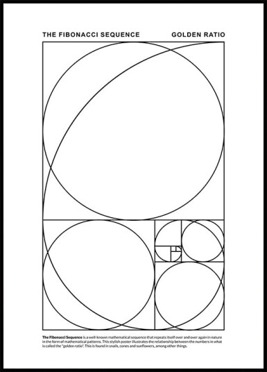 The Fibonacci Sequence Plakat Plakat / 21x30cm The Fibonacci Sequence Plakat Plakat / 21x30cm