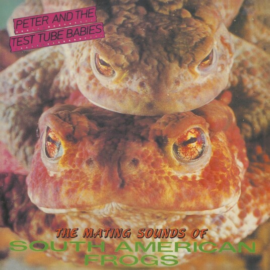 Peter & The Test Tube Babies  Mating Sounds Of South American Frogs  LP/Vinyl