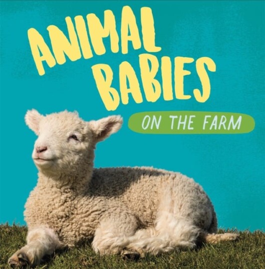 Animal Babies: On The Farm Av Sarah Ridley