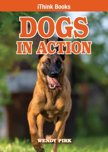 Dogs in Action Dogs in Action