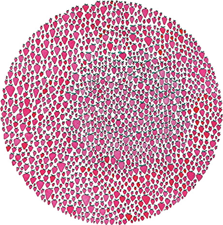 An Abundance Of Strawberries CD