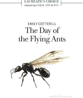 The Day Of The Flying Ants Av Emily Cotterill The Day Of The Flying Ants Av Emily Cotterill