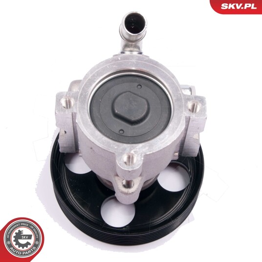 ESEN SKV 10SKV174 Servopumpe