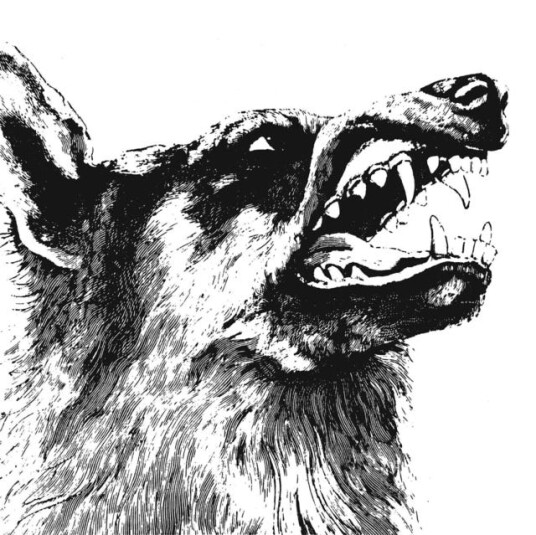 Crippled Black Phoenix I, Vigilante CD Crippled Black Phoenix I, Vigilante CD