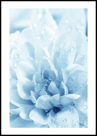 Blue Flowers Plakat Plakat / 70x100cm
