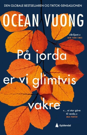 På jorda er vi glimtvis vakre