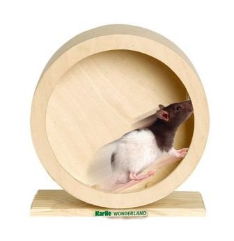 Bogie Løpehjul i Heltre - 20cm