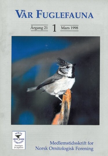 Norsk Ornitologisk Forening Vår Fuglefauna   1998 1 årgang 21