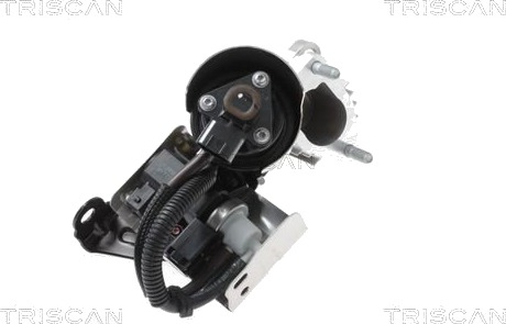 EGR ventil TRISCAN 8813 43018