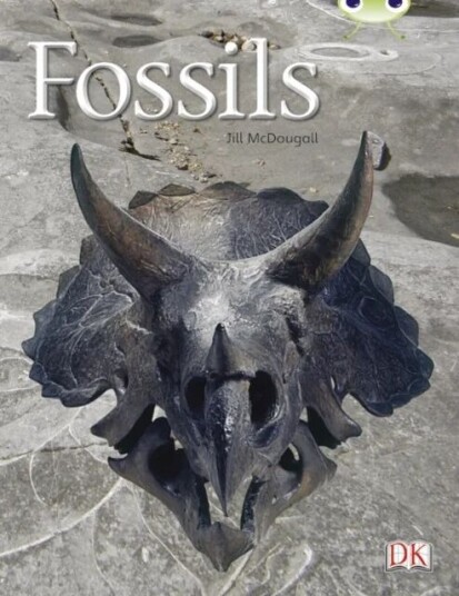 Bug Club Guided Non Fiction Year Two Gold A Fossils Av Jill Mcdougall