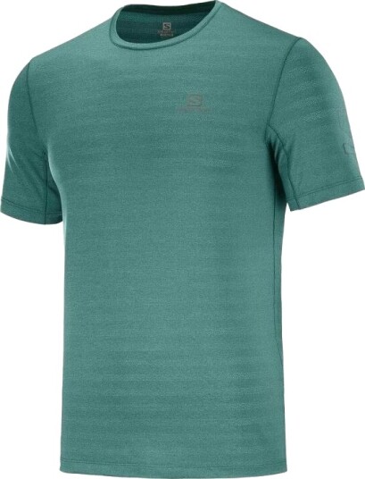 Salomon Xa Tee Herre Lettvekts T-Skjorte S