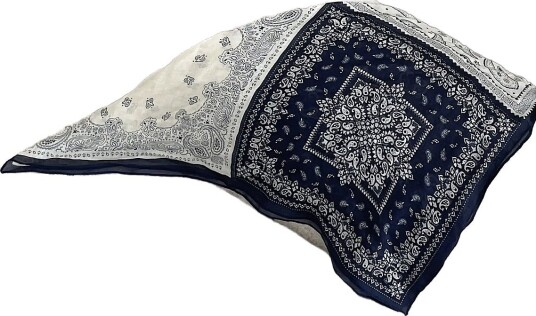 BYIC Callyic Scarf   NAVY WHITE PAISLEY   One Size