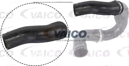VAICO V24 0715 Ladeluftslange