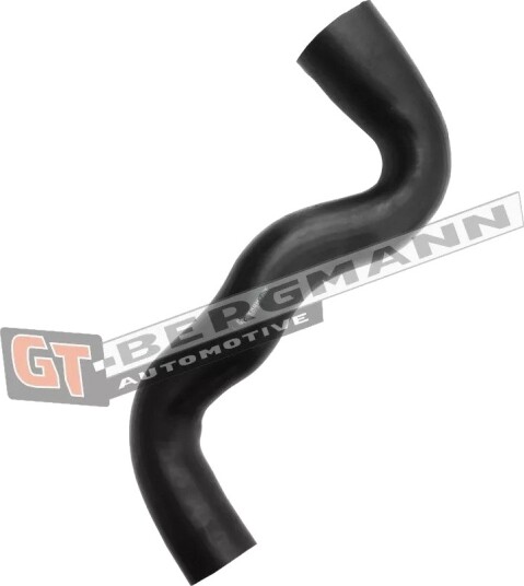 GT BERGMANN GT52 603 Ladeluftslange