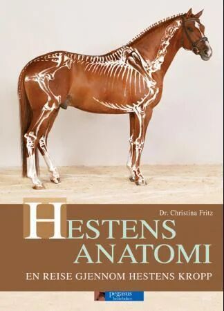 Hestens Anatomi Av Christina Fritz