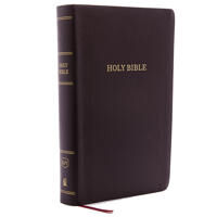 Kjv Holy Bible, Personal Size Giant Print Reference Bible, Burgundy Bonded Leather, 43,000 Cross Ref Av Thomas Nelson