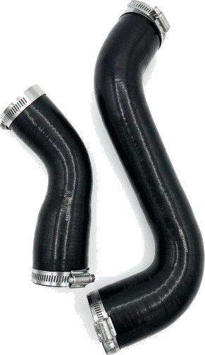 Ladeluftslange BUGIAD 82849