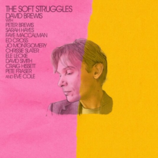 David Brewis Soft Struggles Uk Vinyl
