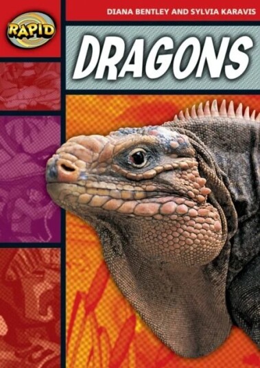 Rapid Reading: Dragons (Stage 2, Level 2b) Av Diana Bentley, Sylvia Karavis