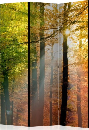 Kadira Rumsavdelare 135x172 cm VALUE_MISSING_1 -