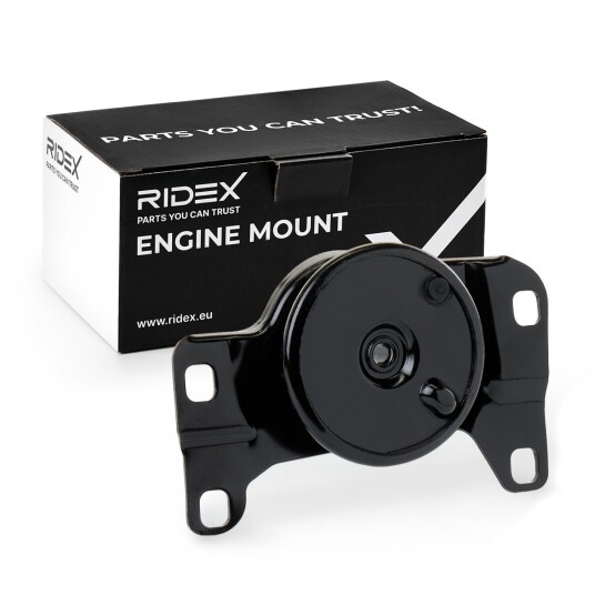 Motorfeste RIDEX 247E0601